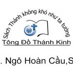 600 + 390 pixels (anh tieu bieu bai viet web)