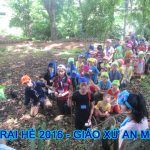 600 + 390 pixels (anh tieu bieu bai viet web)