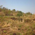 Dak Pnan – Kon Thup (6)