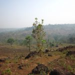 Dak Pnan – Kon Thup (7)