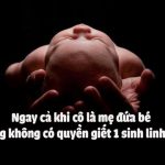 pha-thai