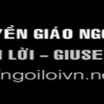 SVD – New Banner (1163 + 190 pixel) – THUONG NIEN