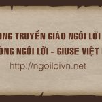 Banner SVD 4