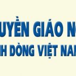 cropped-HINH-DAI-DIEN.jpg