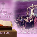 cn4mcb
