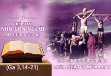 CHÚ GIẢI TIN MỪNG CHÚA NHẬT IV MÙA CHAY, NĂM B (Ga 3,13-21)