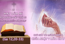 CHÚ GIẢI TIN MỪNG CHÚA NHẬT V MÙA CHAY – NĂM B (Ga 12,20-33)