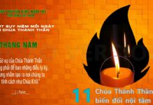 Ngày 11/5: CHÚA THÁNH THẦN BIẾN ĐỔI NỘI TÂM TA