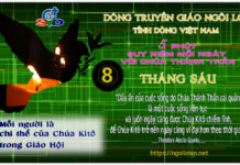 Ngày 08/06 – MỖI NGƯỜI LÀ CHI THỂ CỦA CHÚA KITÔ TRONG GIÁO HỘI