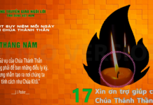 Ngày 17/05: XIN ƠN TRỢ GIÚP CỦA THÁNH THẦN