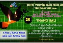 Ngày 20/06 – HÃY ĐỂ CHÚA THÁNH THẦN UỐN NẮN LƯƠNG TÂM