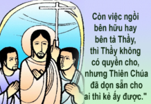 LỜI SỐNG (Thứ Tư, Tuần 8 TN)