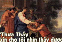 LỜI SỐNG (Thứ Năm, Tuần 8 TN)