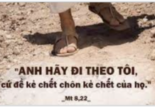 LỜI SỐNG (Thứ Hai Tuần 13 TN)