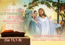 Chú giải Tin Mừng Chúa Nhật V Phục Sinh B (Ga 15,1-8)