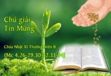 Chú giải Tin Mừng, Chúa Nhật XI Thường Niên – Năm B (Mc 4,26-29.30-32.33-34)