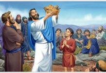 Lời Chúa + Bài giảng Chúa Nhật 17 Thường Niên – Năm B