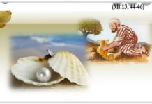 LỜI SỐNG (Thứ Tư, Tuần 17 TN)