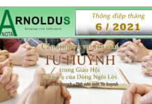 Căn tính và Vai trò của Tu huynh SVD…