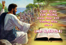 Chú giải Tin Mừng Chúa Nhật XVI TN-B (Mc 6,30-34)
