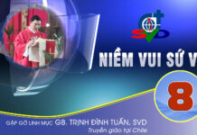 NIỀM VUI SỨ VỤ #8 | Gặp gỡ Lm. GB. Trịnh Đình Tuấn, SVD | Truyền giáo tại Chile