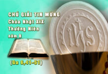 Chú giải Tin Mừng Chúa Nhật XIX Thường Niên, Năm B (Ga 6,41-51)