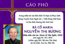 AI TÍN: Bà cố Maria Nguyễn Thị Bương (thân mẫu Lm. Giuse Lê Văn Quốc, SVD)