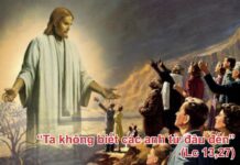 LỜI SỐNG (Thứ Tư, Tuần 30 TN)