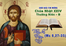 Chú giải Tin Mừng Chúa Nhật XXIV Thường Niên, Năm B (Mc 8,27-35)