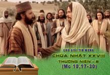 Chú giải Tin Mừng Chúa Nhật XXVIII Thường Niên, Năm B (Mc 10,17-30)