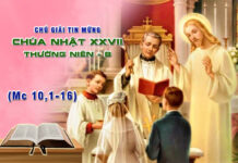 Chú Giải Tin Mừng Chúa Nhật XXVII Thường Niên – B (Mc 10,1-16)