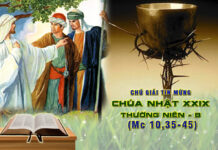 Chú Giải Tin Mừng Chúa Nhật XXIX TN B (Mc 10,35-45)