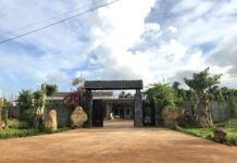 Cộng đoàn Mân Côi SVD: BỨC TRANH MỚI