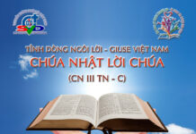 Ngôi Lời Việt Nam Cử Hành Chúa Nhật Lời Chúa (CN3TN-C)