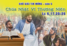 Chú Giải Tin Mừng Chúa Nhật VI Thường Niên năm C (Lc 6,17.20-26)