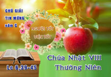 Chú Giải Tin Mừng Chúa Nhật VIII Thường Niên, năm C (Lc 6,39-45)