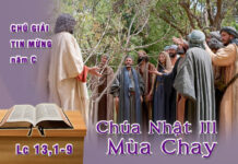 Chú giải Tin Mừng Chúa Nhật III Mùa Chay, Năm C (Lc 13,1-9)