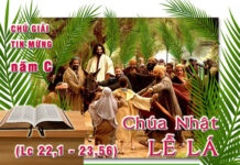Chú Giải Tin Mừng Chúa Nhật Lễ Lá năm C (Lc 22,1 – 23,56)