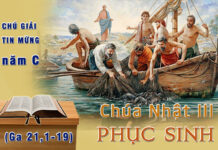 Chú Giải Tin Mừng Chúa Nhật III Phục Sinh, năm C (Ga 21,1-19)