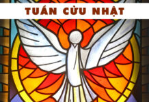 TUẦN CỬU NHẬT: LỜI NGUYỆN TẬN HIẾN CHO CHÚA THÁNH THẦN (SVD)