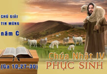 Chú giải Tin Mừng Chúa Nhật IV Phục Sinh năm C (Ga 10,27-30)