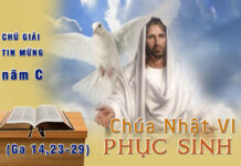 Chú giải Tin Mừng Chúa Nhật VI Phục Sinh, C (Ga 14, 23-29)