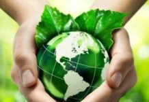 SVD-VIE NĂM THỨ NHẤT: CHƯƠNG TRÌNH HÀNH ĐỘNG LAUDATO-SI’