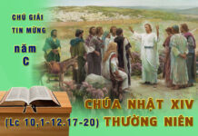 Chú giải Tin Mừng Chúa Nhật XIV Thường Niên, Năm C (Lc 10, 1-12.17-20)
