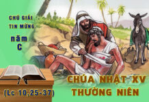 Chú Giải Tin Mừng Chúa Nhật XV Thường Niên, năm C (Lc 10,25-37)