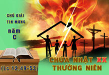 Chú Giải Tin Mừng Chúa Nhật XX Thường Niên, Năm C (Lc 12,49-53)