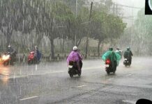 Mưa Sài Gòn có làm nhạt muối?