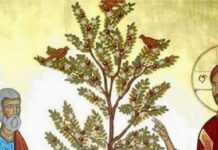 LỜI SỐNG (Chúa Nhật, Tuần 27 TN-C)