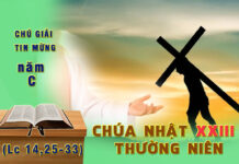 Chú giải Tin Mừng Chúa Nhật XXIII Thường Niên, năm C (Lc 14,25-33)