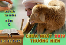 Chú giải Tin Mừng Chúa Nhật XXIV Thường Niên, Năm C (Lc 15,1-32)